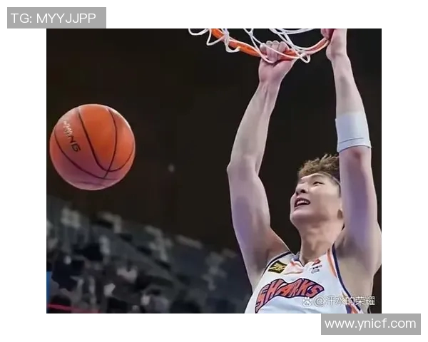 辽宁队CBA赛程曝光！新赛季将迎战豪强对手，球迷期待高水平对抗